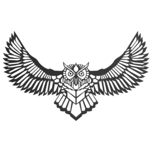 Stalen Wand decoratie Uil