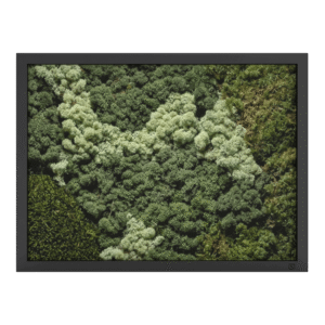 Mos schilderij landscape zwart